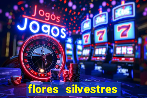 flores silvestres desbravadores desbravadores 25